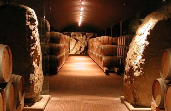 Een blik in de wijnkelder